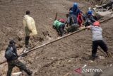Tim SAR gabungan mengevakuasi korban bencana tanah longsor yang ditemukan di Desa Pasirlangu, Cisarua, Kabupaten Bandung Barat, Jawa Barat, Sabtu (24/1/2026). Berdasarkan hasil asesmen tim SAR gabungan bersama pihak desa setempat hingga pukul 12.30 WIB, sebanyak 34 Kepala Keluarga (KK) atau 113 jiwa terdampak bencana tanah longsor dengan rincian 23 orang selamat, delapan orang ditemukan meninggal dunia dan 82 lainnya masih dalam proses pencarian. ANTARA FOTO/Abdan Syakura/agr