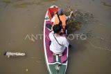 Peserta menaiki selancar dayung atau paddle board saat memungut sampah di aliran Sungai Karang Mumus, Samarinda, Kalimantan Timur, Minggu (25/1/2026). Puluhan anggota yang tergabung dalam komunitas Paddle Board Samarinda tersebut menyusuri Sungai Karang Mumus sepanjang 6,6 kilometer untuk membersihkan sampah yang berada di aliran sungai sebagai upaya pencegahan banjir. Antara Kaltim/M Risyal Hidayat