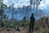 BPBD Sulteng laporkan karhutla terjadi di dua kecamatan Parigi Moutong