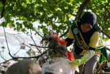 Pelajar memungut sampah di Pantai Kenjeran, Surabaya, Jawa Timur, Sabtu (31/1/2026). Aksi kolaboratif anggota Tunas Hijau bersama para pelajar dan orang tua mereka tersebut dilakukan guna menjaga kebersihan lingkungan kawasan wisata dari sampah, khususnya limbah plastik, sehingga tercipta suasana yang bersih dan nyaman bagi masyarakat maupun wisatawan. Antara Jatim/Didik Suhartono/abs