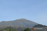 Pemulihan ekosistem di Gunung Ciremai terus berkelanjutan
