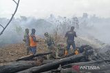Aceh Barat darurat bencana kebakaran lahan