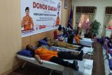 SAR Timika gelar donor darah sambut HUT Basarnas
