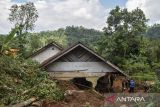 Tim SAR gabungan membersihkan material tanah longsor yang menimbun rumah warga di Desa Sukamanah, Kecamatan Sindangkasih, Kabupaten Ciamis, Jawa Barat, Selasa (3/2/2026). Curah hujan tinggi disertai angin kencang pada Senin (2/2) mengakibatkan satu rumah tertimbun tanah longsor dan menyebabkan satu orang lanjut usia meninggal dunia, serta dua rumah lainnya terancam longsor susulan. ANTARA FOTO/Adeng Bustomi/agr
