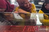 Harga Emas Palembang naik ke Rp16,6 Juta per suku, naik Rp1 Juta dari pekan lalu