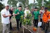 PLN bersama GP Ansor dan Pemkab Boyolali hijaukan lereng Merapi