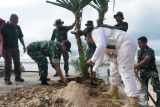 Pemkab Gunungkidul mewujudkan pariwisata lestari melalui penanaman pohon pantai