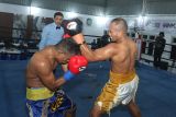 Petinju Amfibi Boxing Camp Marinir Sertu Mar Hartono Arsad (kanan) melepaskan pukulan kepada Petinju UBS BC Surabaya Yacob Ton (kiri) pada pertandingan partai utama tinju profesional Danlanal Banyuwangi Cup di Pangkalan TNI AL Banyuwangi, Jawa Timur, Kamis (12/2/2026). Sebanyak 158 peserta dari kelas amatir hingga profesional mengikuti pertandingan tersebut yang digelar dalam rangka memperingati Hari Dharma Samudera 2026. Antara Jatim/Budi Candra Setya/abs