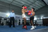 Petinju sasana Lanal Banyuwangi Ilham Laros (kiri) mendapatkan pukulan dari petinju Eki Arif Drago pada pertandingan tinju profesional Danlanal Banyuwangi Cup di Pangkalan TNI AL Banyuwangi, Jawa Timur, Kamis (12/2/2026). Sebanyak 158 peserta dari kelas amatir hingga profesional mengikuti pertandingan tersebut yang digelar dalam rangka memperingati Hari Dharma Samudera 2026. Antara Jatim/Budi Candra Setya/abs