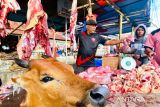 Pemkab Aceh Barat terima Rp1 miliar dari Presiden untuk bantuan daging