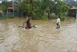 Warga melintasi banjir di Desa Glundengan, Wuluhan, Jember, Jawa Timur, Jumat (13/2/2026). Badan Penanggulangan Bencana Daerah (BPBD) Jember mencatat 3.944 kepala keluarga (KK) di delapan kecamatan, 17 desa terdampak banjir akibat hujan deras selama beberapa jam yang mengguyur kabupaten setempat pada Kamis (12/2) sore hingga Jumat (13/2) dini hari. Antara Jatim/Seno/abs