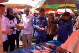 Badan Mutu KKP uji ciguatoxin guna waspadai keracunan ikan di Bengkulu