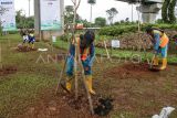 Tiga pekerja menanam pohon tabebuya dalam program penghijauan di Tol Jakarta-Cikampek KM 10, Cikunir, Kota Bekasi, Jawa Barat, Rabu (18/2/2026).PT Jasamarga Transjawa Tol menargetkan penanaman sebanyak 520 bibit dari sejumlah jenis pohon pada triwulan I 2026 setelah sebelumnya pada 2025 telah menanam 11.607 pohon untuk peningkatan kualitas lingkungan di seluruh koridor Tol Transjawa. ANTARA FOTO/Darryl Ramadhan/nz 