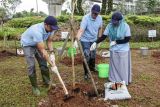 Direktur Utama PT Jasamarga Transjawa Tol Rudi Kurniadi (tengah) bersama Direktur Operasional Pratomo Bimawan Putra (kiri), dan Direktur Keuangan Siti Sarah (kanan) menanam bibit tabebuya dalam program penghijauan di Tol Jakarta-Cikampek KM 10, Cikunir, Kota Bekasi, Jawa Barat, Rabu (18/2/2026). PT Jasamarga Transjawa Tol menargetkan penanaman sebanyak 520 bibit dari sejumlah jenis pohon pada triwulan I 2026 setelah sebelumnya pada 2025 telah menanam 11.607 pohon untuk peningkatan kualitas lingkungan di seluruh koridor Tol Transjawa. ANTARA FOTO/Darryl Ramadhan/nz 