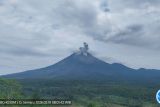 Gunung Semeru erupsi lagi, kali ini meletus setinggi 800 meter