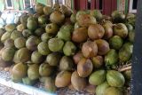 Permintaan buah kelapa muda di Lebak pada Ramadhan tahun ini meningkat