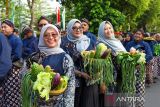 Kirab budaya Mangayubagya 80 tahun Sri Sultan Hamengku Buwono X