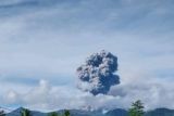 Gunung Dukono meletus lagi, semburkan abu vulkanik setinggi 1.600 meter
