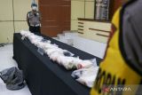 Prancis sita 3,3 ton kokain  di perairan Atlantik