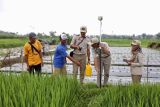 Mau ikut PTSL? Ketahui biaya persiapannya di masing-masing wilayah