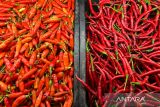 Harga cabai rawit capai Rp68.000 per kg, telur ayam Rp28.500 per kg