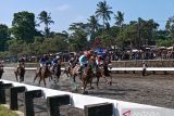 147 ekor kuda dari 12 daerah ikuti IHR 2026 di Semarang