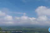 Semeru erupsi dengan tinggi letusan 800 meter di atas puncak