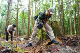 Otorita IKN ajak pengunjung tinggalkan jejak hijau lewat penanaman 150 bibit