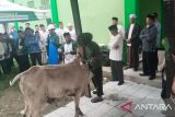 MUI Karawang gelar pelatihan penyembelihan hewan sesuai syar'i