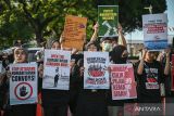 Seluruh WNI peserta flotilla Gaza tiba di Turki jelang kembali ke RI