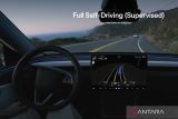 Tesla konfirmasi dukungan fitur FSD Supervised untuk pasar Tiongkok