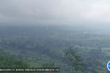 Gunung Semeru erupsi disertai luncuran awan panas