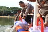 Kapolda Babel kembali tebar ribuan ikan di kolam Bhaypark jelang lomba mancing 2026