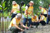 Menyulam alam, wujudkan IKN jadi kota hutan dunia