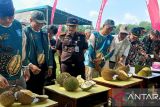 Festival durian jerieng dorong Pelangas jadi destinasi wisata durian unggulan Babel
