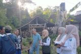 "Screen house modern" di Probolinggo tingkatkan produksi cabai