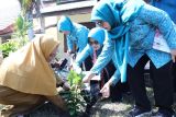 Pemprov Babel gaungkan tradisi menanam pohon di sekolah