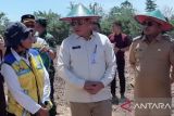 Pemkab SBT, Maluku peroleh alokasi program cetak sawah seluas 1.362 hektare