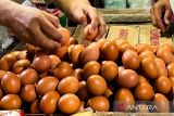 PIHPS: Harga telur ayam Rp29.400/kg, bawang merah Rp39.450/kg