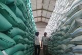 Harga beras premium dan medium kompak naik pada Agustus