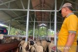 Anggota DPRD Jabar minta data kelompok ternak di Kuningan dibenahi