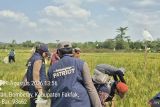 BPP Serubur Kementan dan Unpad kembangkan inovasi pertanian di Fakfak