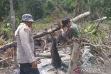 Polda Kaltim tetapkan 9 tersangka karhutla
