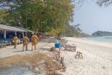 Wabup Belitung: 17 warung di bibir pantai Tanjung Kelayang sudah dibenahi