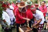 Bungan Desa ke-64, Bupati Sanjaya: Perkuat potensi pertanian hingga pariwisata kelas dunia