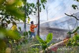 Otorita kuatkan pengendalian karhutla IKN dengan satuan reaksi cepat