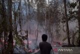 Dishut: Dedikasi Manggala Agni dan MPA redam karhutla  di Kutai Barat