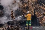 Tim gabungan berjibaku padamkan karhutla 8,5 hektare di Kabupaten Berau