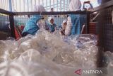 DLH Kota Balikpapan perkuat strategi pengelolaan sampah