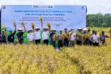 Tatkala emas hijau dan teknologi menyatu  di timur Kalimantan